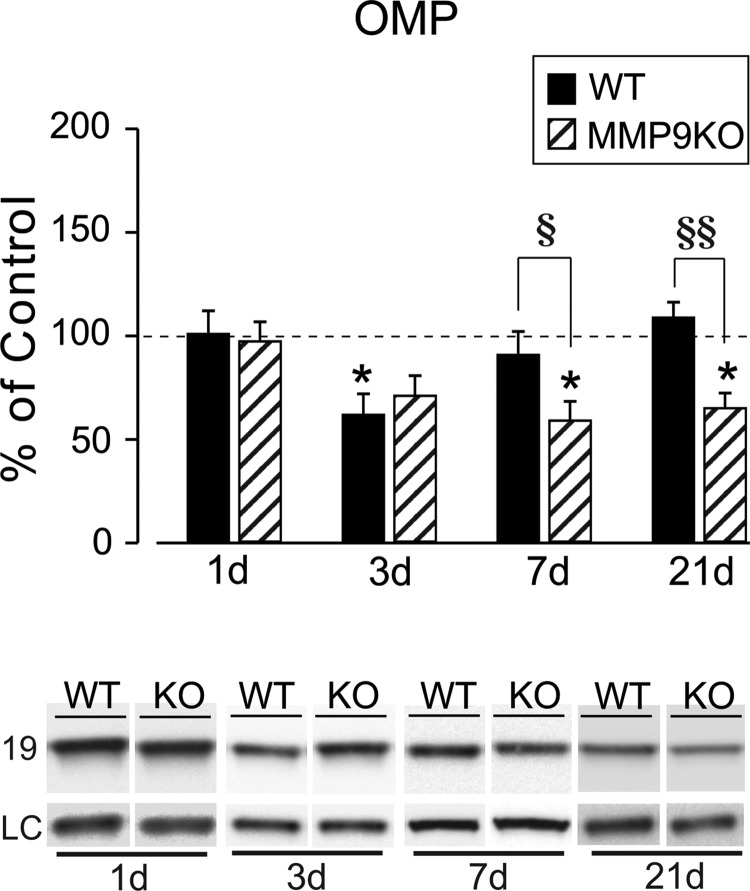 FIG. 8.