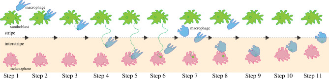 Figure 2.