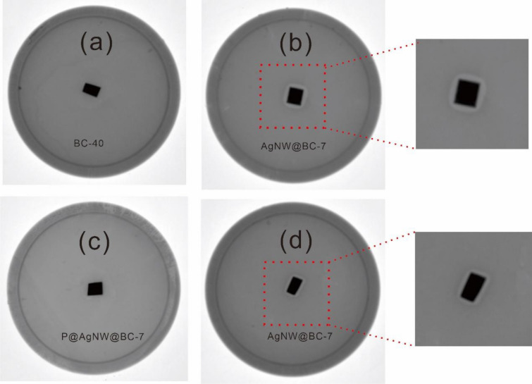 Fig. 8