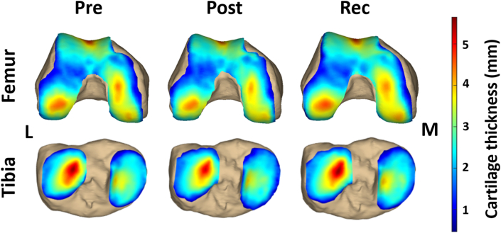 Fig. 3