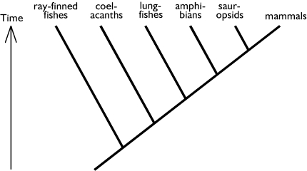 Fig. 4