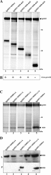FIG. 5.