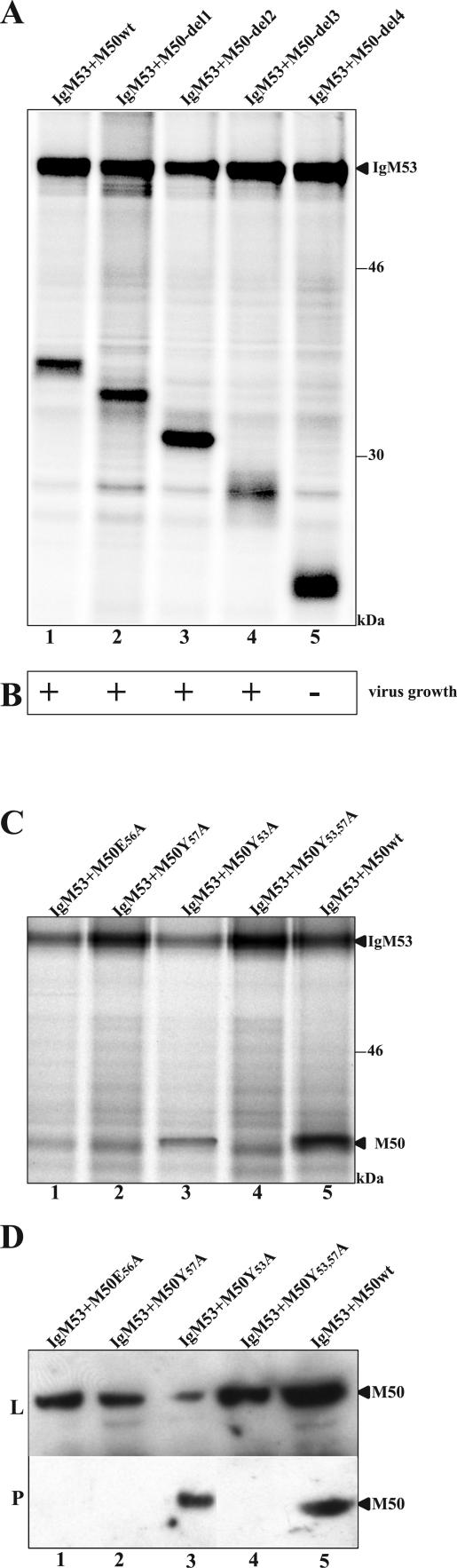 FIG. 5.