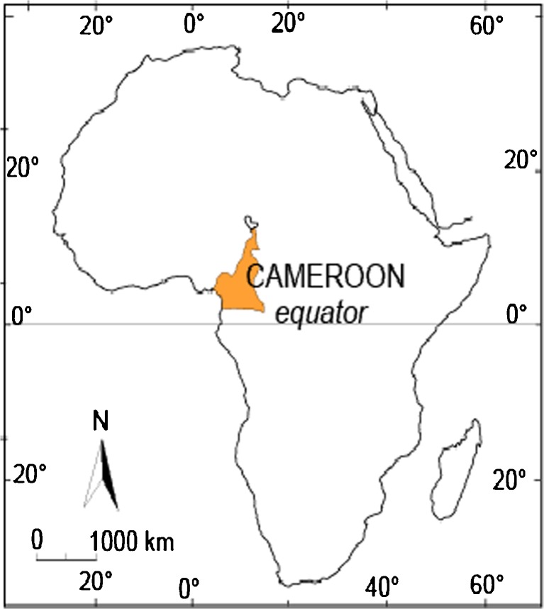Fig. 1