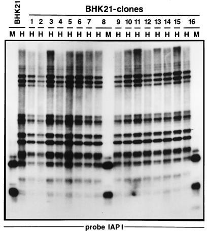 FIG. 8