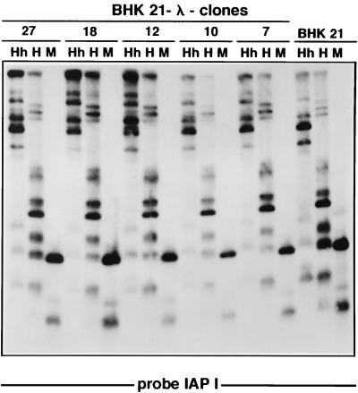 FIG. 5