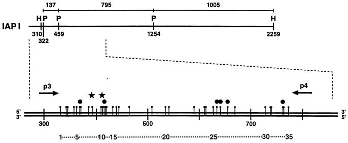 FIG. 6