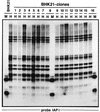 FIG. 8