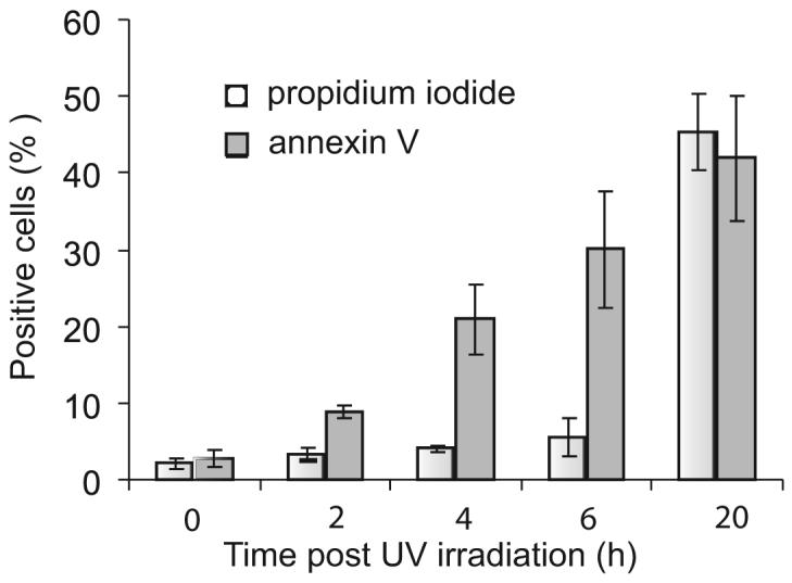 FIGURE 3