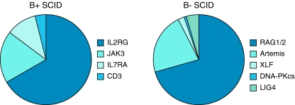 Fig. 6