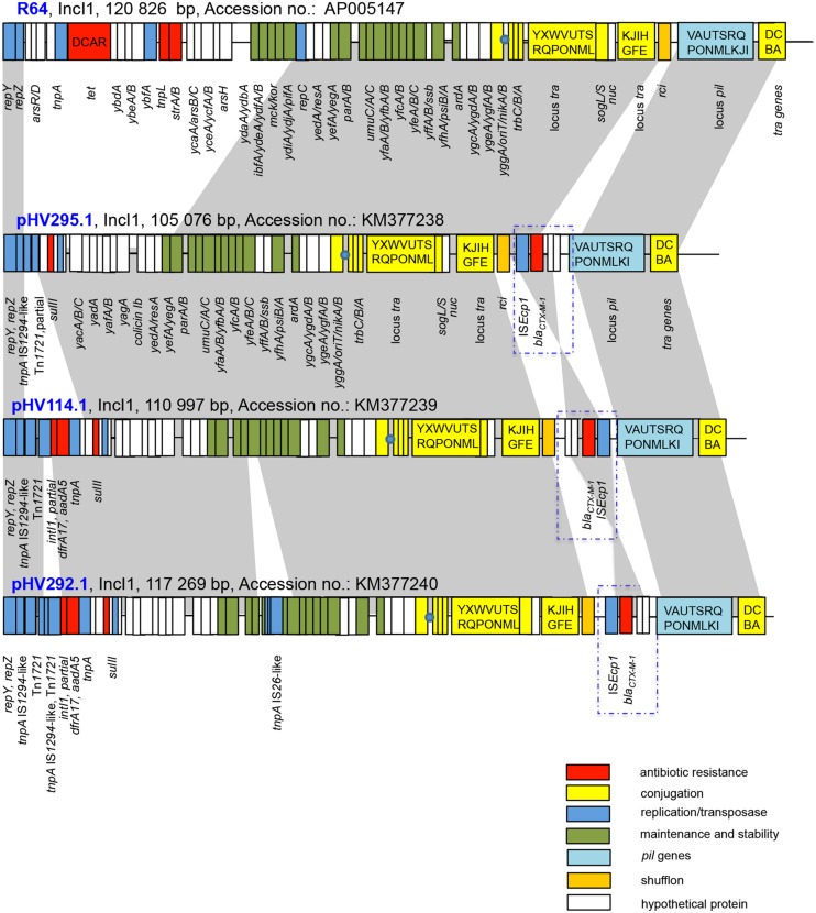 FIGURE 1