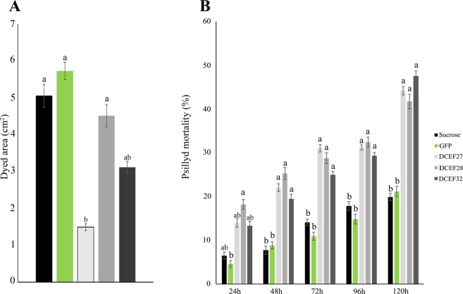 Figure 5