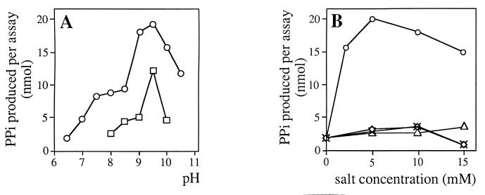 FIG. 5