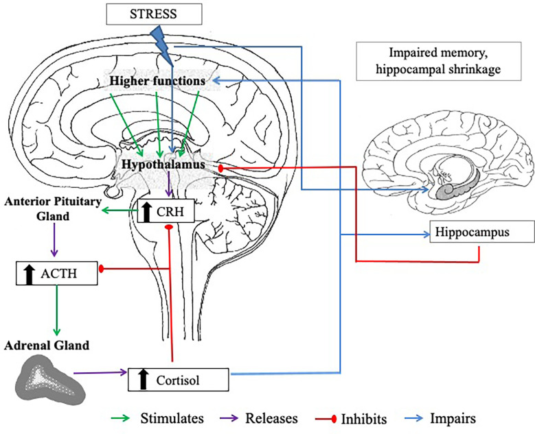 Figure 1