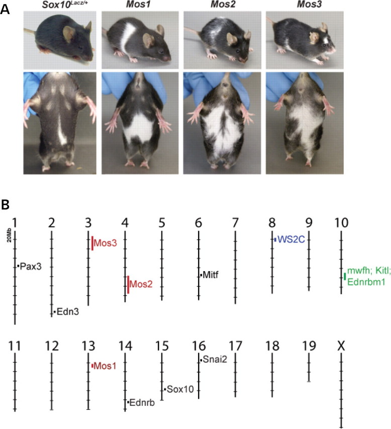 Figure 1.