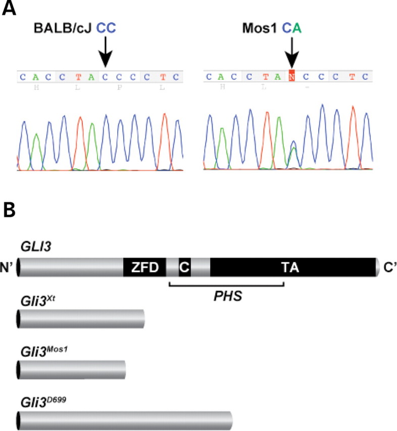 Figure 3.