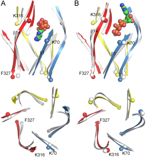 Fig. 5.