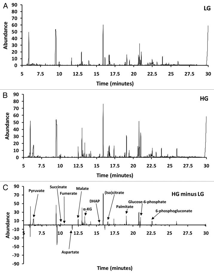 graphic file with name isl-4-210-g1.jpg