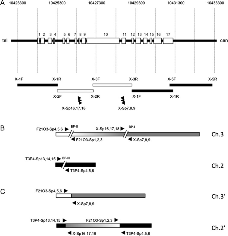 Fig. 3.