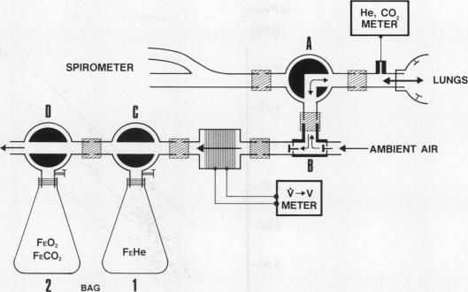 graphic file with name thorax00343-0027-a.jpg