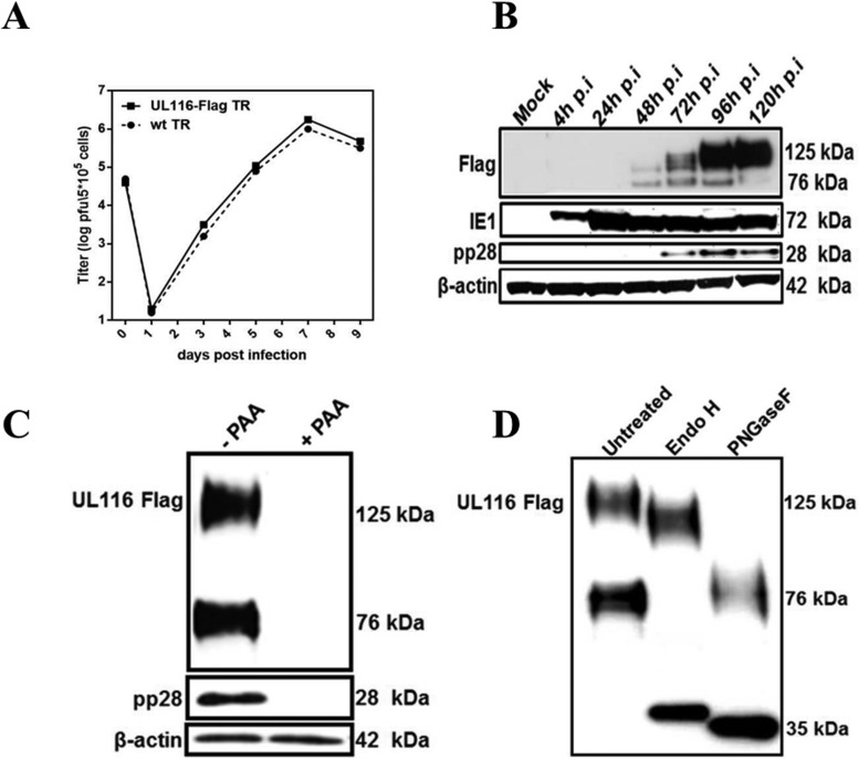 FIG 2