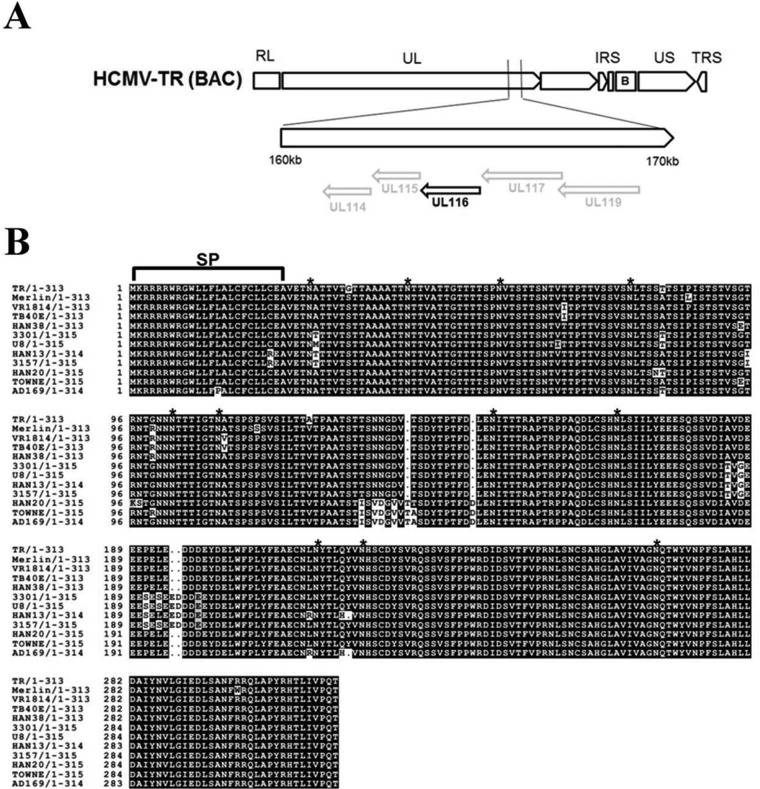 FIG 1