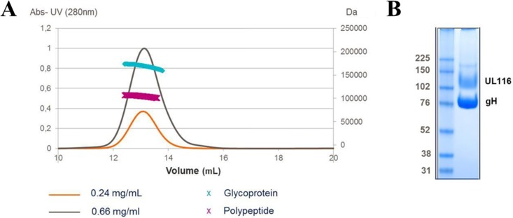 FIG 6