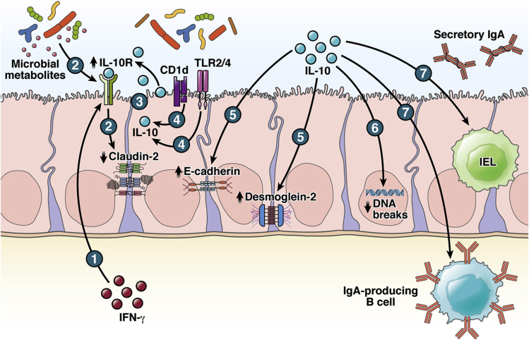 Figure 2