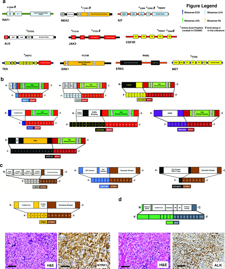 Extended Data Fig. 4.