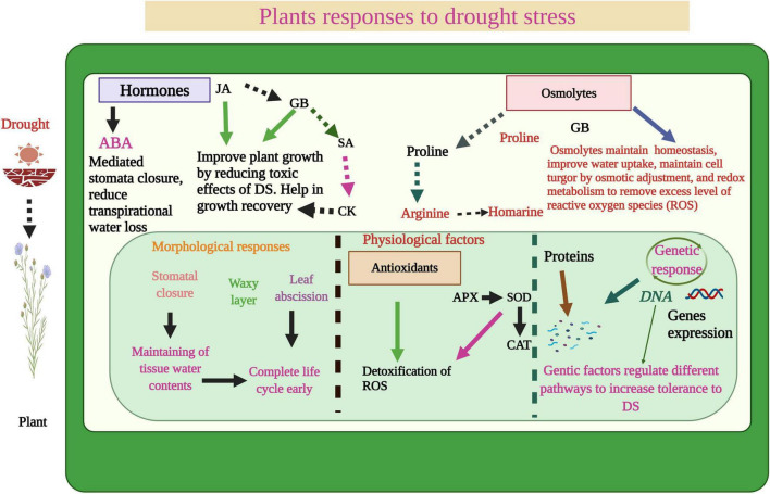 FIGURE 1