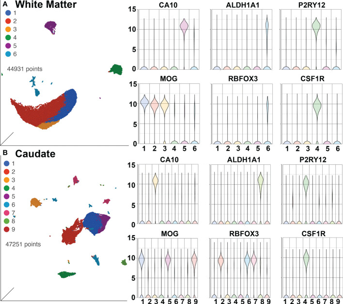 Figure 6