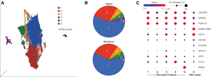 Morphine Suppresses Peripheral Responses And Transforms Brain Myeloid 