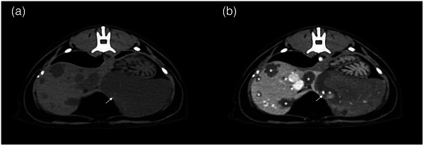 FIGURE 2