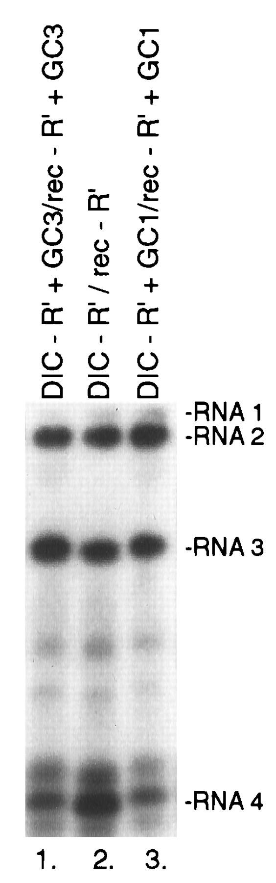 FIG. 5