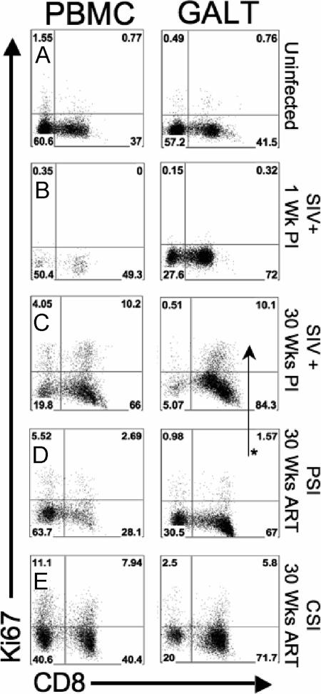 FIG. 6.