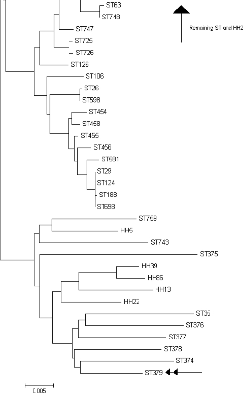 FIG. 1.