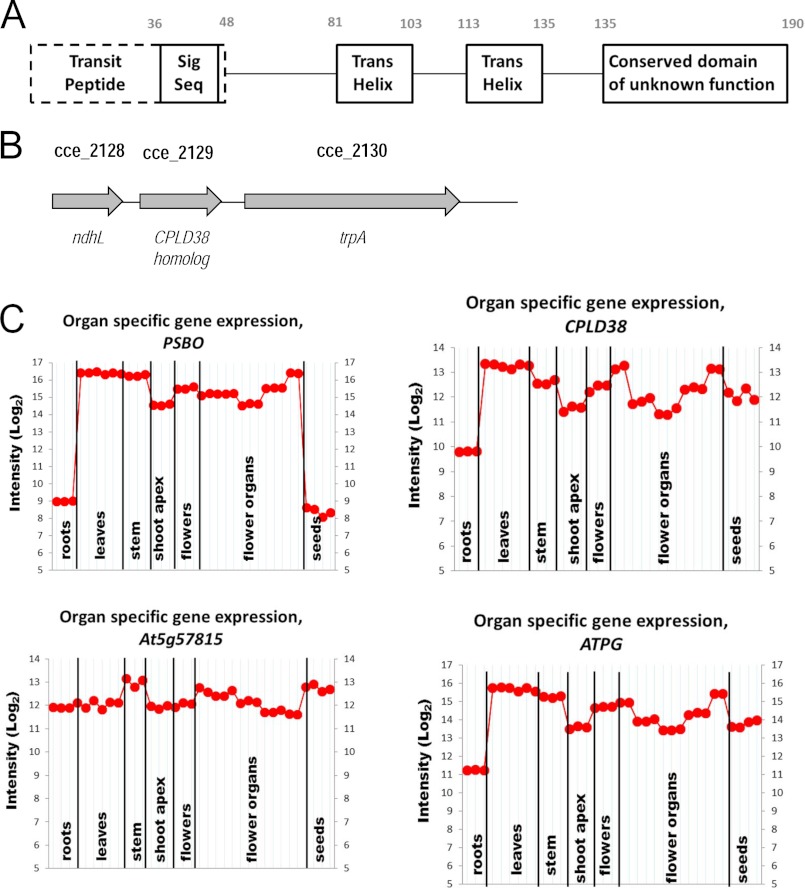 FIGURE 1.