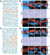 Fig. 6.