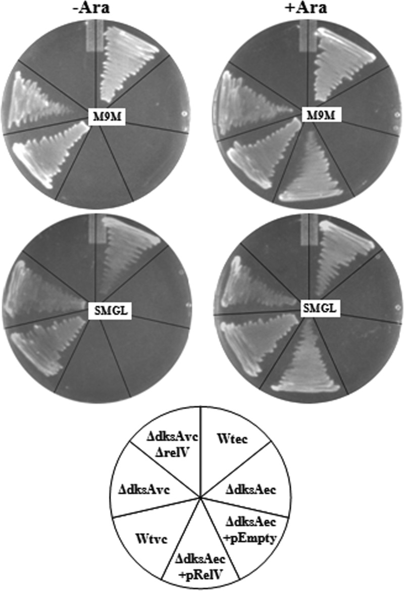 Fig 3