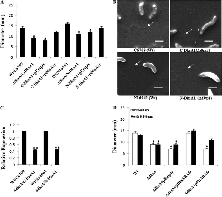 Fig 6