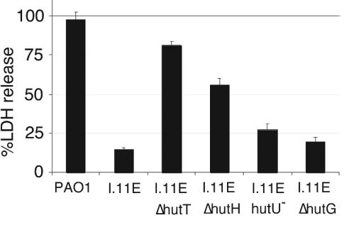 FIG. 7.