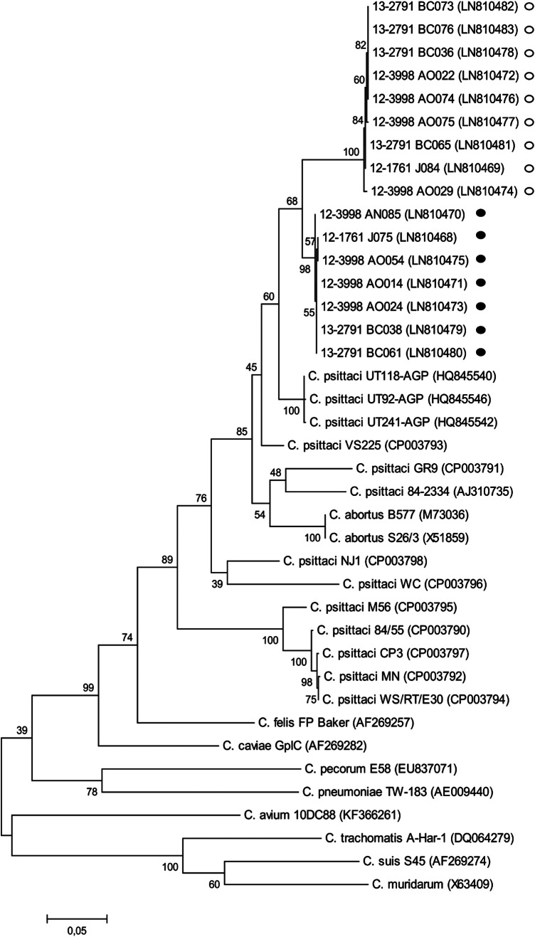 FIG 2