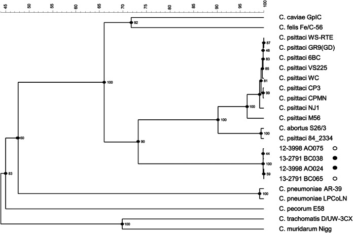 FIG 3