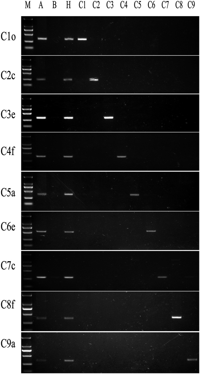 Figure 4 