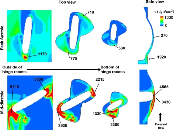 Figure 6