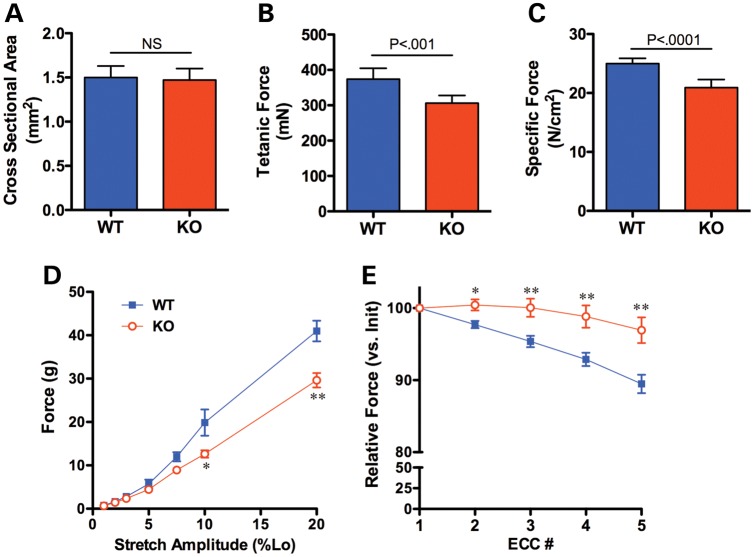 Figure 7.