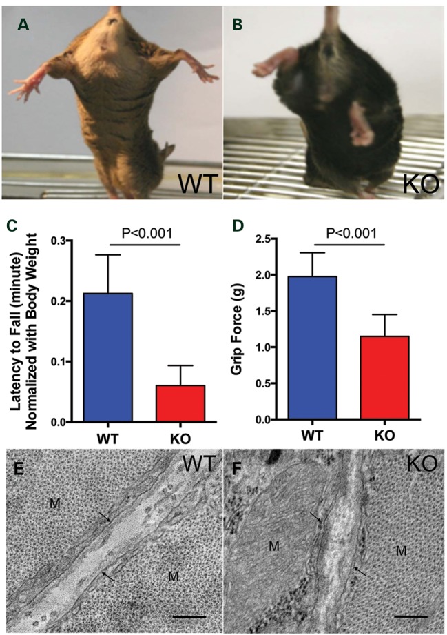 Figure 5.