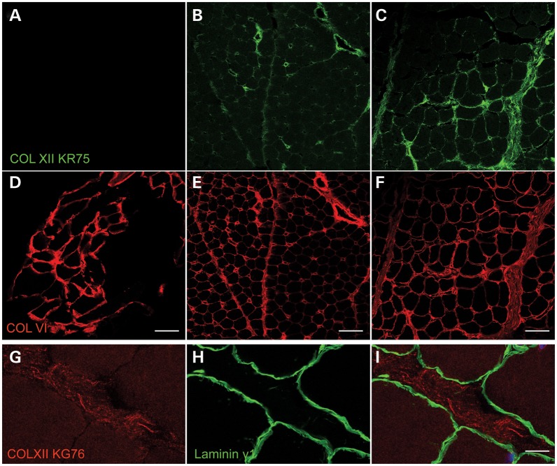 Figure 4.