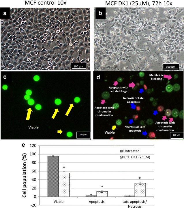 Fig. 2