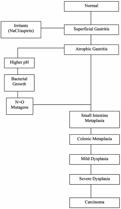 Fig. (1)